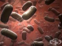 ����� � ��������� ����� ���������� � ����������?